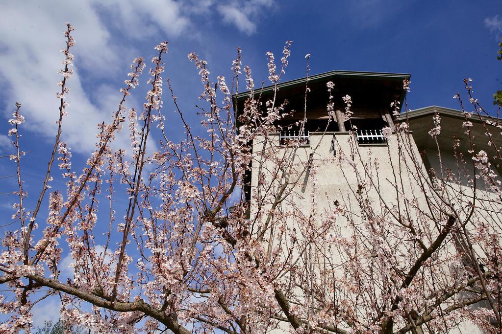 Bed and Breakfast Torretta D'Assisi Tordandrea Екстер'єр фото